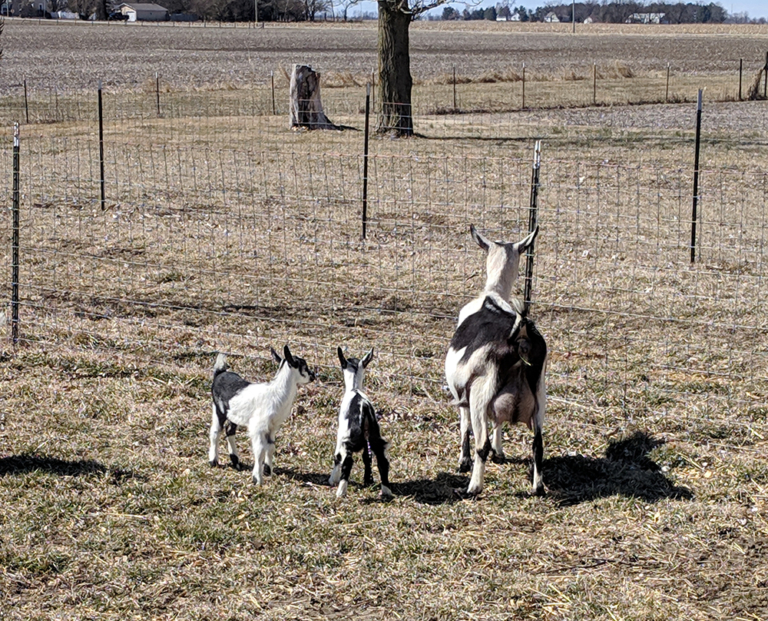 Brad_Farm_small Schmidt Associates