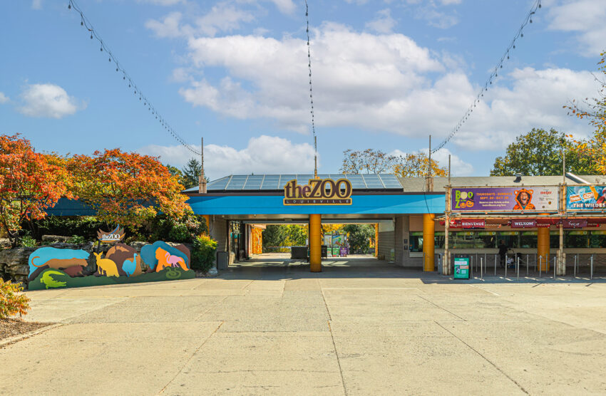 Various Zoo Exhibits | Schmidt Associates | Architecture